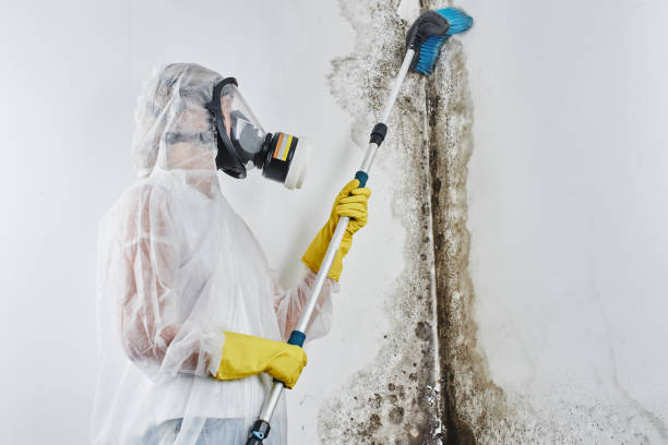 Franklinton, NC Mold Remediation Company